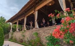 Alamanda Lovina Resort