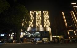 Saltstayz Premier - Naraina, Central Delhi