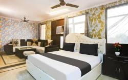 Hotel Blue Ocean New Delhi, 20 km from India Gate