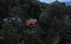 Tulsi village Retreat Treehouses & Cabin stays 