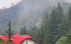 Pahadi Zayka Homestay