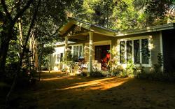 Tree Nature Resort Luxury Villa