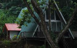 Tree Nature Resort (Samanthanna)