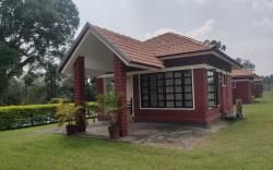 Dubare Inn Coorg