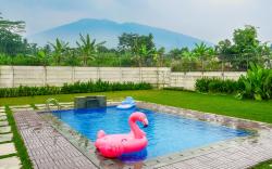 Theolive Arrea - Spacious Private Pool and Backyar
