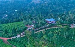 Sylora Meadows Pool Villa