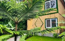 Euphoria Stays-A Bamboo House