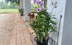 Littlehousekhaoyai ลิตเติ้ลเฮ้าส์เขาใหญ่