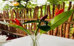 Gajaa Corido Safari Homestay