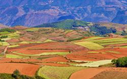 红景轩酒店昆明东川红土地景区kunming Hongjingxuan Hotel