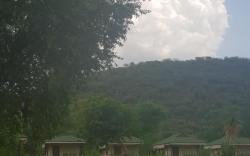 Sariska Tiger Heaven