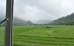 dreamy orchard -myst 