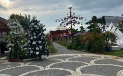 Cafe cắm trại Đồng Gió Phước Hải