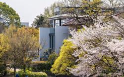 Kamo Residences by Reflections