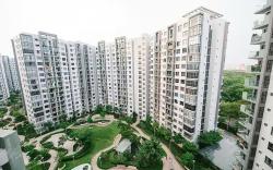 Century Diamond Alnata Plus - Tan Phu