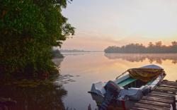 The Cinnamon Cottage (Free Kayaking on Lake)