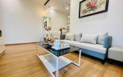 Khang's House Times City 2br