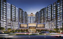 Century Diamond Alnata Plus - Tan Phu