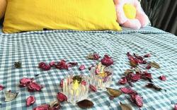 CheeseNest@Setapak Central | Cozy Studio 5Pax