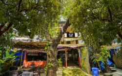 Super Hotel O Arambol Beach Formerly Hakuna Matata