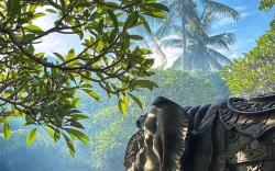 Wana Karsa The Villas Ubud