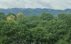 Enchanting Mountain Stay