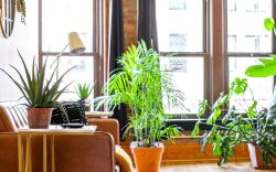 Top Rated - Free Parking - PRIME Location - CLEAN