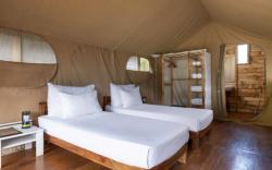 Wild Glamping Knuckles - Thema Collection