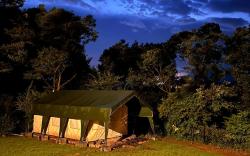 H2H -Premium Tent | Mountain Views by Homeyhuts