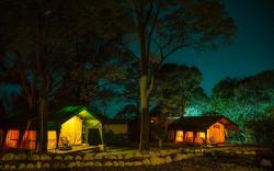 H2H - Glamping 2 tents | Bir Himachal by Homeyhuts