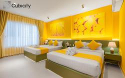 Cubicity Metro House