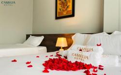 Camelia Hotel