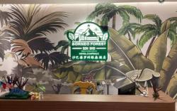 Borneo Forest Hotel