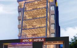 Hotel Apricot One - Udaipur