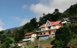 The Silver Tip A Tea Boutique Farmstay