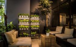 Z HOTEL