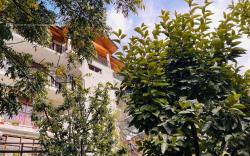 Pink Bud Cottage Manali - Nested In Nature's Lap