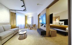 Mercure Grenoble Centre Portes des Alpes 