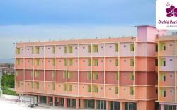 Orchid Resident๑Amata