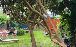 Le Mas des Vignes parisian hacienda