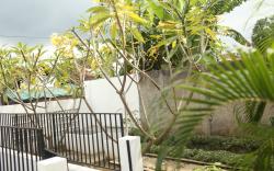 Villa kilat banyuwangi