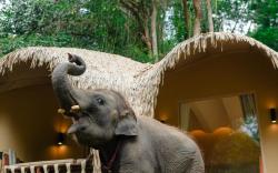 Lazula Resort Chiangmai