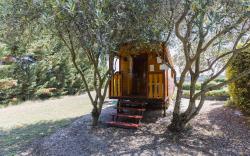 Roulotte chez Manon en Luberon