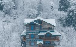 Nature retreat manali 