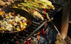 Postcard Cabins Lake Hartwell