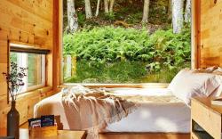 Postcard Cabins Talladega Valley