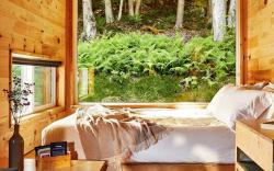 Postcard Cabins Talladega Valley, Outdoor Collection by Marriott Bonvoy