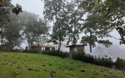 About You River Camp