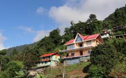 The Silver Tip Farmstay 