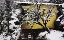 Rumkh Kedar Resort Sitapur